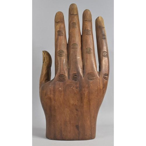 175 - A Large Far Eastern Carved Wooden Study of a Hand, 52cms High