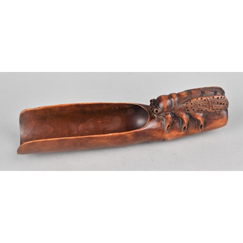 260 - A Carved Oriental Wooden Spice Scoop or Spoon in the Form of a Bamboo with Bug Finial, Signed, 12cm ... 