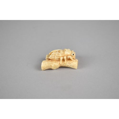 264 - A Reproduction Bone Netsuke in the form of a Bug on a Branch, Signed, 5cm wide