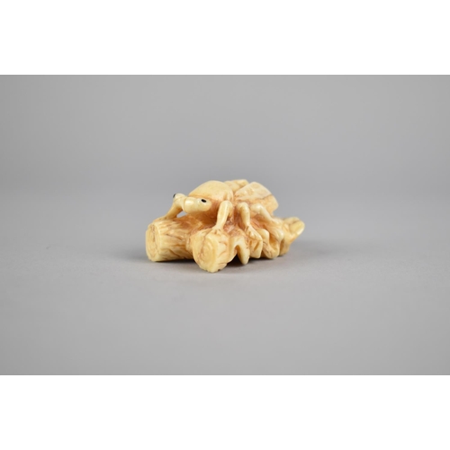 264 - A Reproduction Bone Netsuke in the form of a Bug on a Branch, Signed, 5cm wide