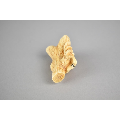 264 - A Reproduction Bone Netsuke in the form of a Bug on a Branch, Signed, 5cm wide