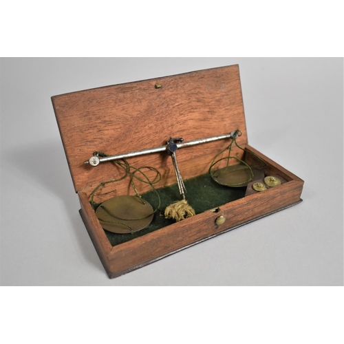 29 - A Mahogany Cased Set of Apothecary or Jeweller's Pan Scales with Two Weights, 17cms Wide