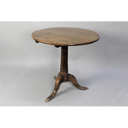 495 - An Early 19th Century Elm Snap Top Tripod Table, Three Plank Circular Tilt Top on Tapering Support w... 