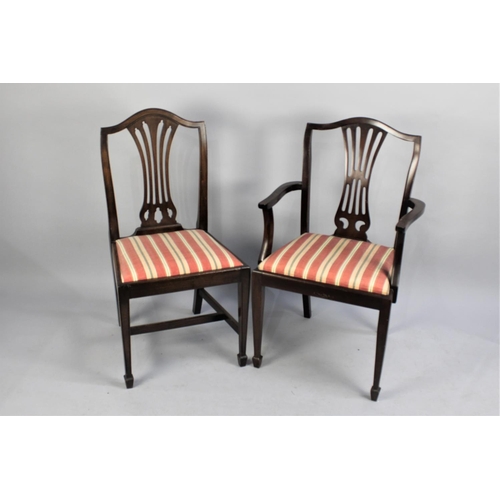 518 - A Set of Six Reproduction Mahogany Framed Dining Chairs with Regency Stripe Pad Seats