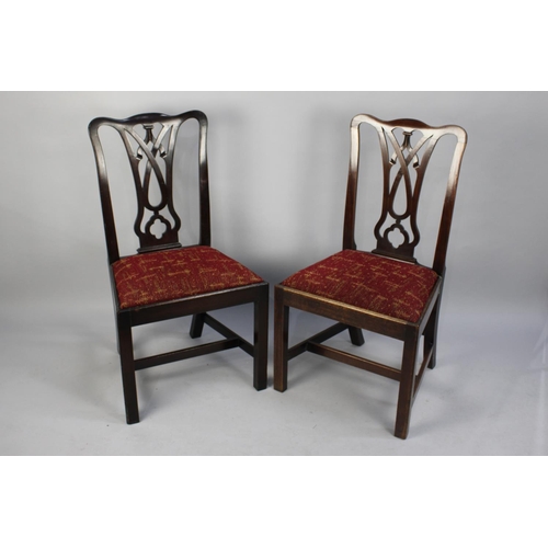 520 - A Set of Six 19th Century Mahogany Framed Dining Chairs