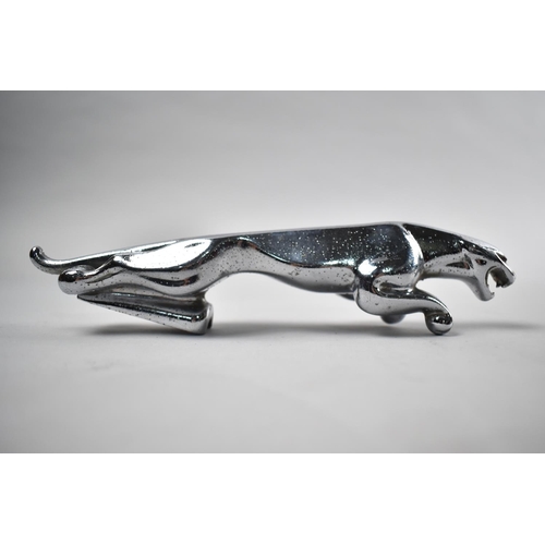 206 - A Chromed Jaguar Bonnet Mascot, 20cms Long