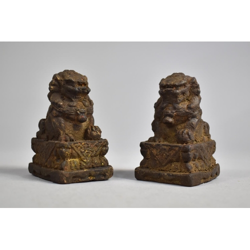 258 - A Pair of Chinese Reconstituted Studies of Temple Lions on Plinth Bases, Remnants of Gilt Highlights... 