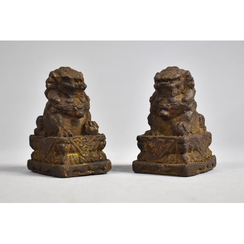 258 - A Pair of Chinese Reconstituted Studies of Temple Lions on Plinth Bases, Remnants of Gilt Highlights... 