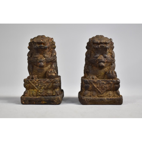 258 - A Pair of Chinese Reconstituted Studies of Temple Lions on Plinth Bases, Remnants of Gilt Highlights... 