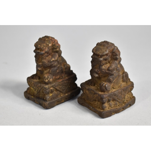 258 - A Pair of Chinese Reconstituted Studies of Temple Lions on Plinth Bases, Remnants of Gilt Highlights... 