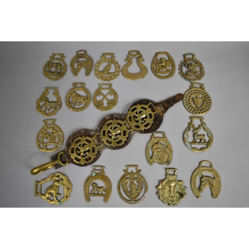 315 - A Collection of Various Horse Brasses