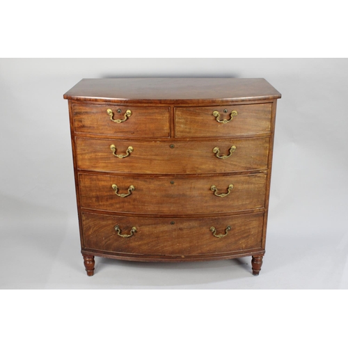 459 - A Late 19th Century Mahogany Bow Fronted Chest of Two Short and Three Long Drawers, 105cms Wide