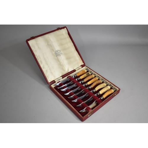 6 - A Cased Set of Eight Bone Handled Steak Knives by WR Humphreys and Co