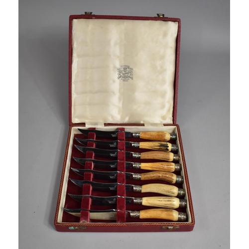 6 - A Cased Set of Eight Bone Handled Steak Knives by WR Humphreys and Co