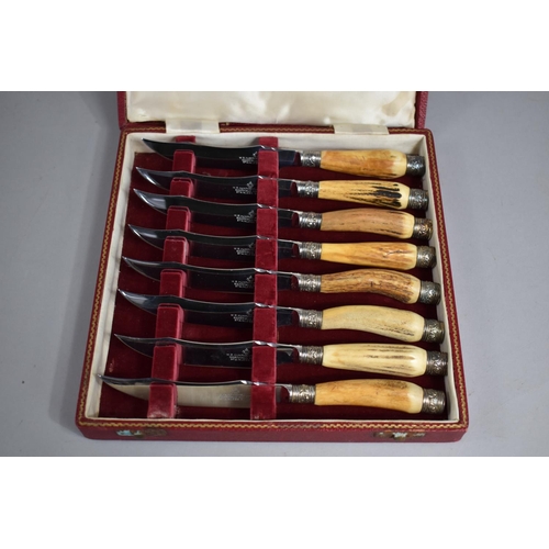 6 - A Cased Set of Eight Bone Handled Steak Knives by WR Humphreys and Co