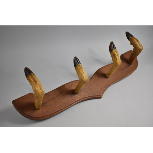 89 - A Mid 20th Century Black Forest Coat Hook Formed with Deer's Hooves, 65cms Wide