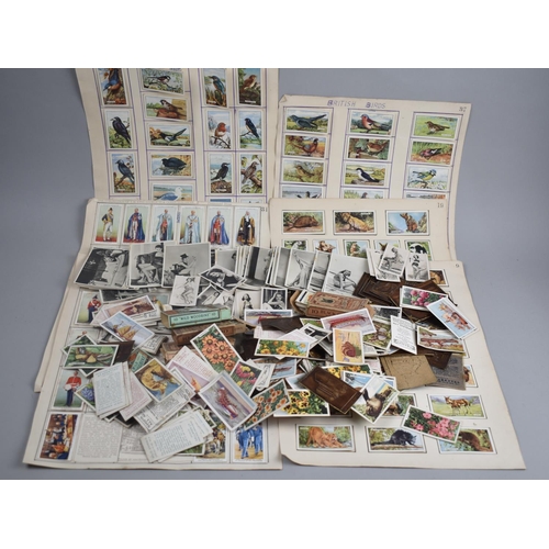 111 - A Collection of Various Vintage Cigarette Card Sets to include Beauties of Today, Film and Stage Bea... 