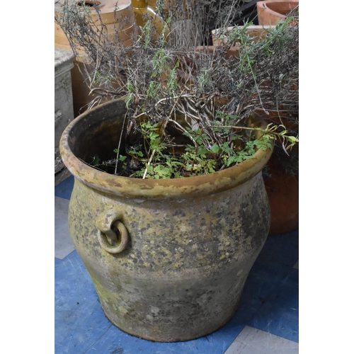 428 - A Large Terracotta Planter with Ring Loop Handles