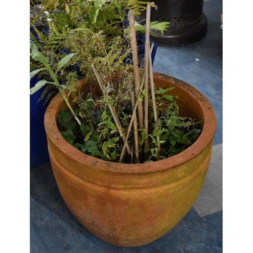 430 - A Terracotta Garden Planter,