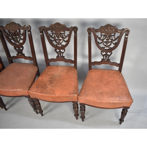 509 - A Set of Four Late Victorian/Edwardian Mahogany Framed Dining Chairs with Carved Backs