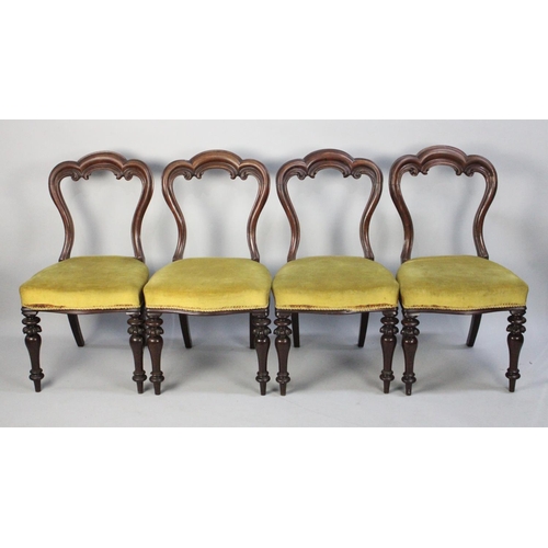 510 - A Set of Four Late Victorian Balloon back Dining Chairs