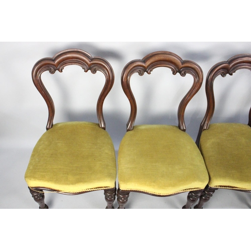 510 - A Set of Four Late Victorian Balloon back Dining Chairs