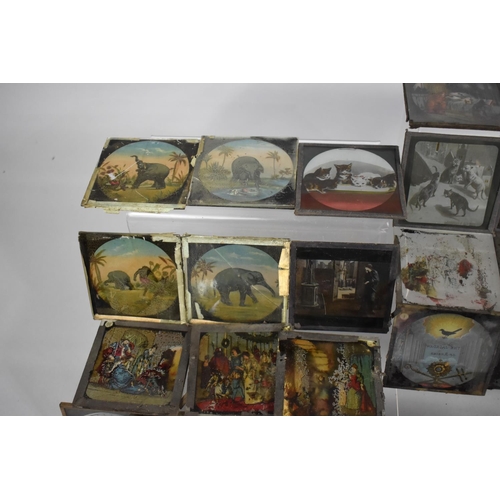 128 - A Vintage Collection of Magic Lantern Slides, Childrens Scenes, African Elephant etc, Condition Issu... 