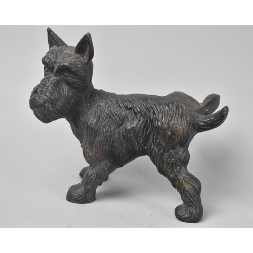 137 - An Early 20th Century Cast Metal Doorstop in the Form of Terrier Cocking Leg, 18cm Long