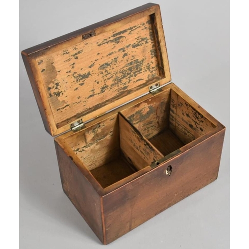 15 - A Mid 19th Century Two Division Tea Caddy, Hinged Lid with Shell Decoration, 18.5cms Wide