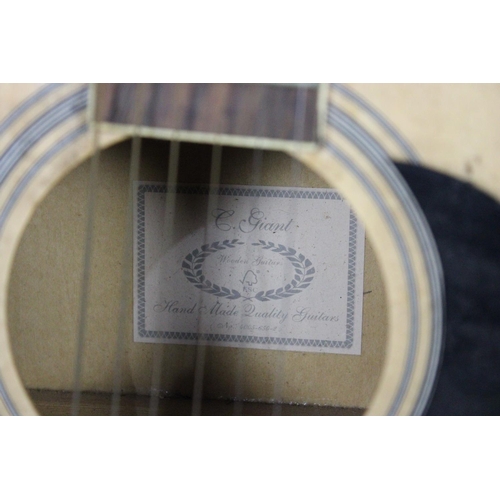 C giant deals acoustic guitar