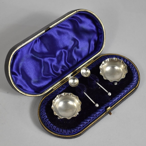 357 - A Cased Set of Silver Salts by Hilliard & Thomason, Chester Hallmark 1898