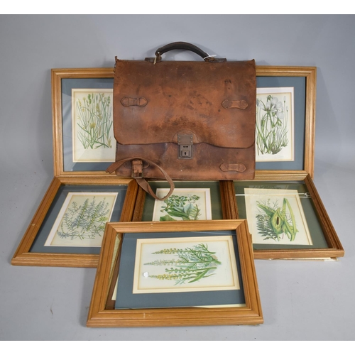 385 - A Music Satchel Together with a Collection of Botanic Prints