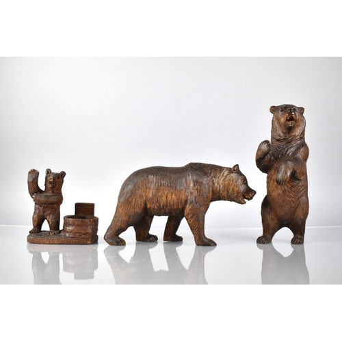 31 - A Collection of Three Early 20th Century Carved Black Forest Bears All with Glass Eyes, Standing Bea... 