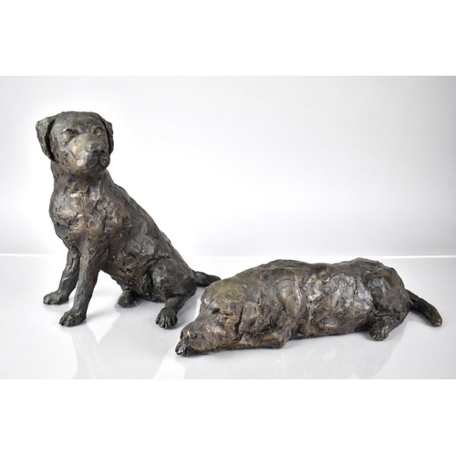 75 - After Rodney Munday, Two Limited Edition Bronzed Resin Studies of Labradors, Recumbent No. 4/9 and S... 