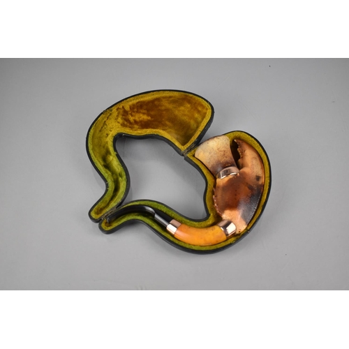 209 - An Early 20th Century Unusual Pipe Formed From a Lobster Claw With Meerschaum Bowl and Amber and Hav... 