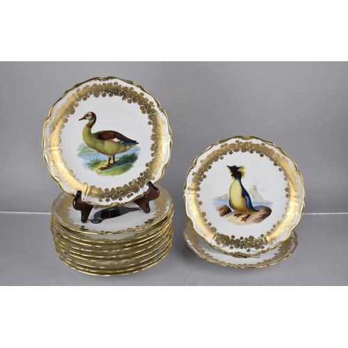 377 - A Set of Twelve 20th Century Vienna Porcelain Plates, All Hand Painted with Gilt Scrolling Foliage B... 