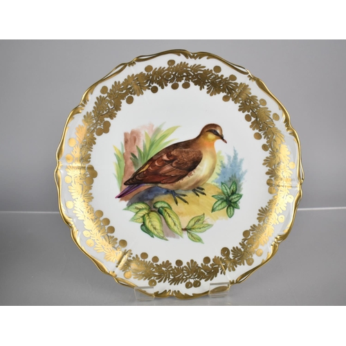 377 - A Set of Twelve 20th Century Vienna Porcelain Plates, All Hand Painted with Gilt Scrolling Foliage B... 