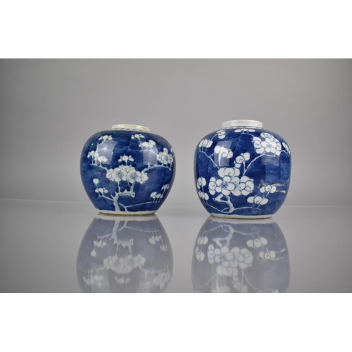 288 - Two 19th/20th Century Chinese Porcelain Blue and White Prunus Pattern Ginger Jars, Both with Double ... 