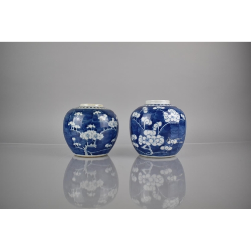 288 - Two 19th/20th Century Chinese Porcelain Blue and White Prunus Pattern Ginger Jars, Both with Double ... 