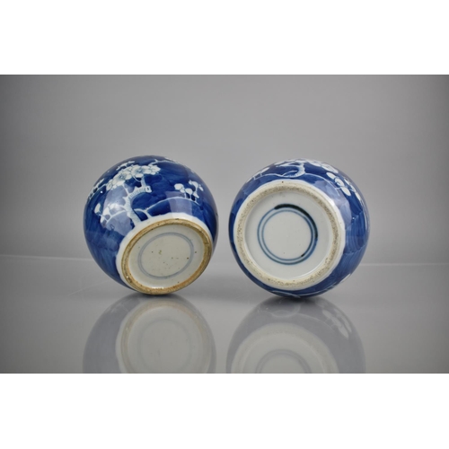 288 - Two 19th/20th Century Chinese Porcelain Blue and White Prunus Pattern Ginger Jars, Both with Double ... 