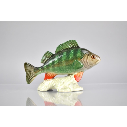 362 - A Beswick Study of a Perch, No 1875, 16x11.5cms High