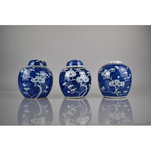 289 - Three 19th Century Qing Period Chinese Porcelain Blue and White Prunus Pattern Ginger Jars, Two with... 