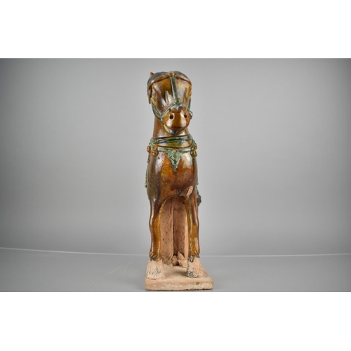 231 - An Early Chinese Terracotta Sancai Glazed Study of Standing Caparisoned Horse on Rectangular Plinth ... 