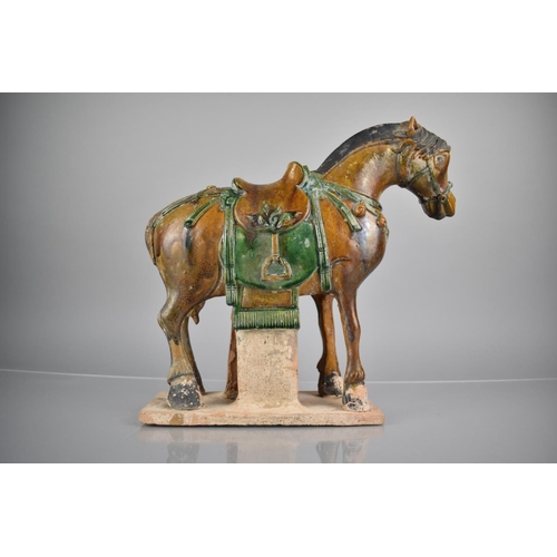 231 - An Early Chinese Terracotta Sancai Glazed Study of Standing Caparisoned Horse on Rectangular Plinth ... 