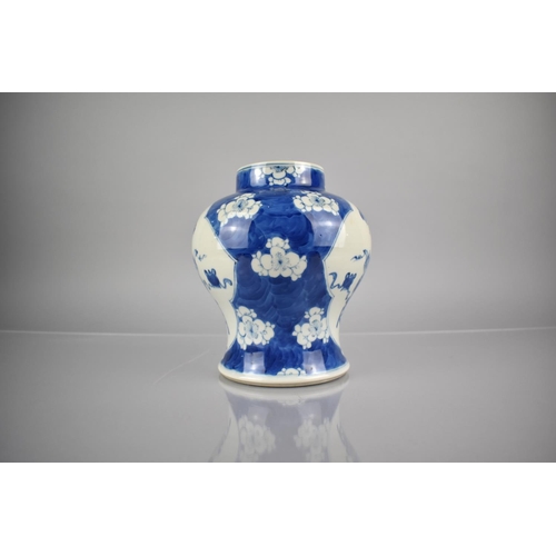 286 - A 19th Century Chinese Qing Period Porcelain Blue and White Prunus Pattern Baluster Vase of Squat Fo... 