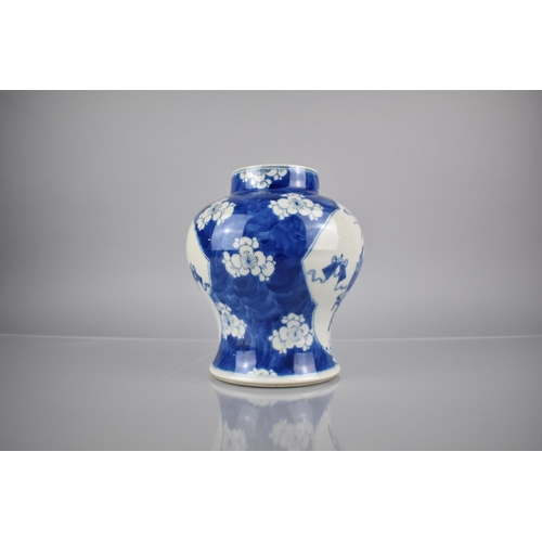 286 - A 19th Century Chinese Qing Period Porcelain Blue and White Prunus Pattern Baluster Vase of Squat Fo... 