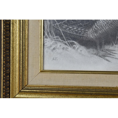 202 - A Gilt Framed Good Quality Pencil Drawing of a Pair of Nesting Woodcock. The Monogram A.T. Bottom Le... 