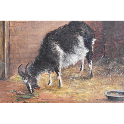 164 - Two Oils on Card, Depicting Goats, 29x22cm & 24x18cm