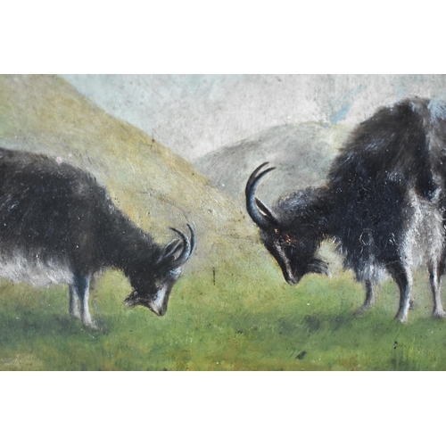 164 - Two Oils on Card, Depicting Goats, 29x22cm & 24x18cm