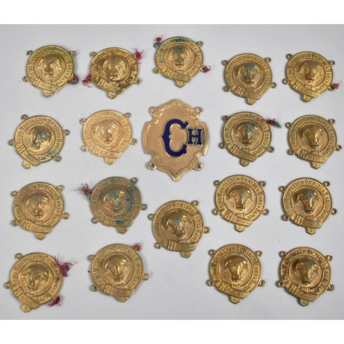 181 - A Collection of Chairmans Chain Discs, in Gilt Metal For the Royal Antediluvian Order of Buffaloes